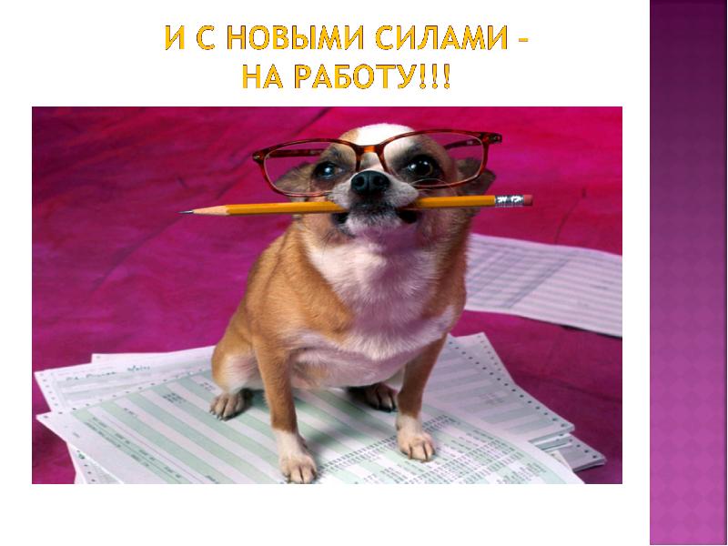 Поздравления С Выходом На Новую Работу