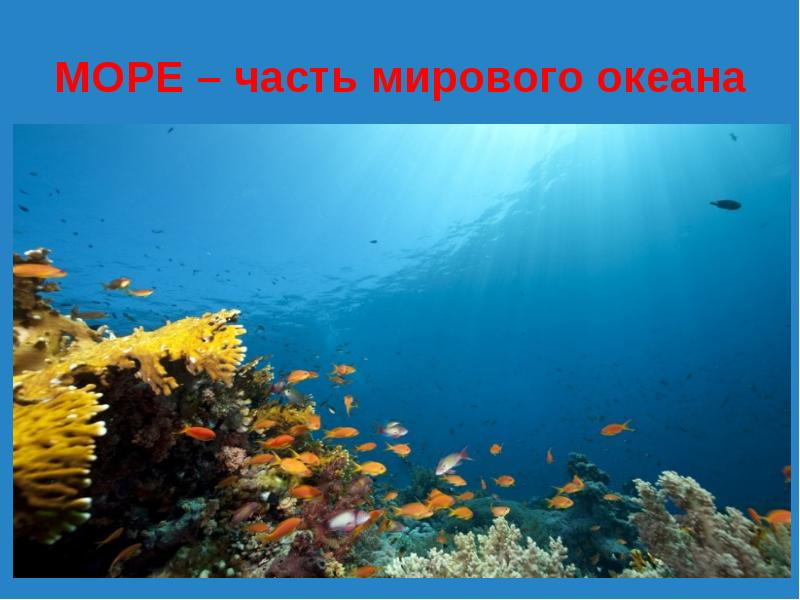 30 Сентября День Моря Картинки