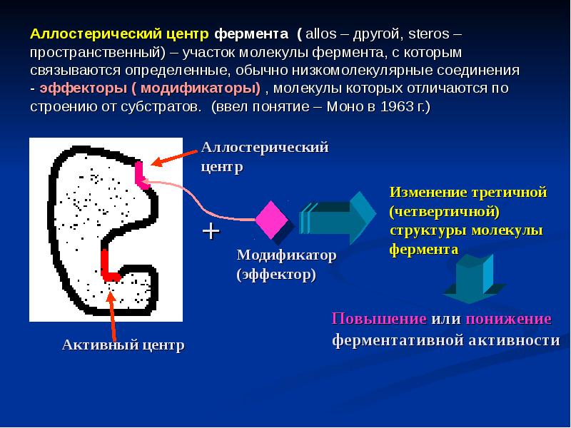 Четвертичная Структура Ферментов