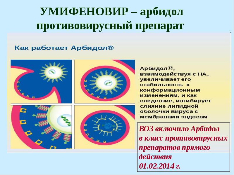Умифеновир 100 Инструкция По Применению Цена