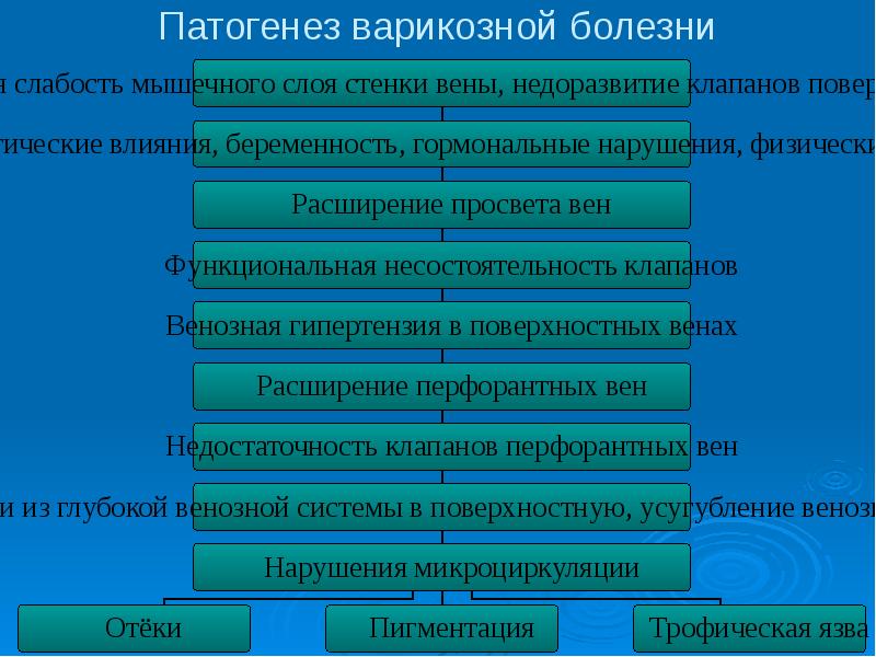 Этиология Варикозной Болезни