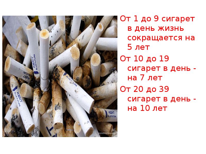 Год Без Сигарет Фото