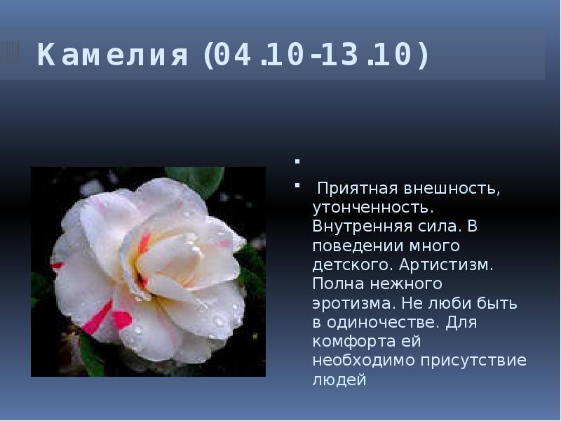 25 Марта Цветок По Гороскопу