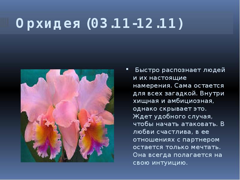 25 Марта Цветок По Гороскопу