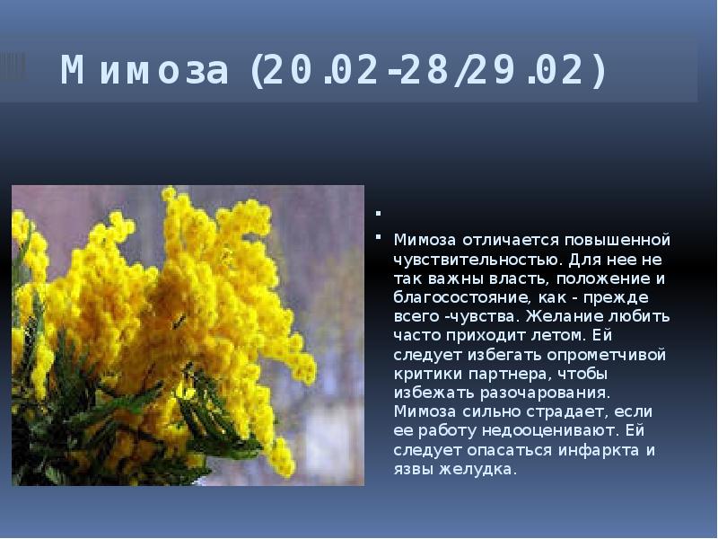 Январь Цветочный Гороскоп