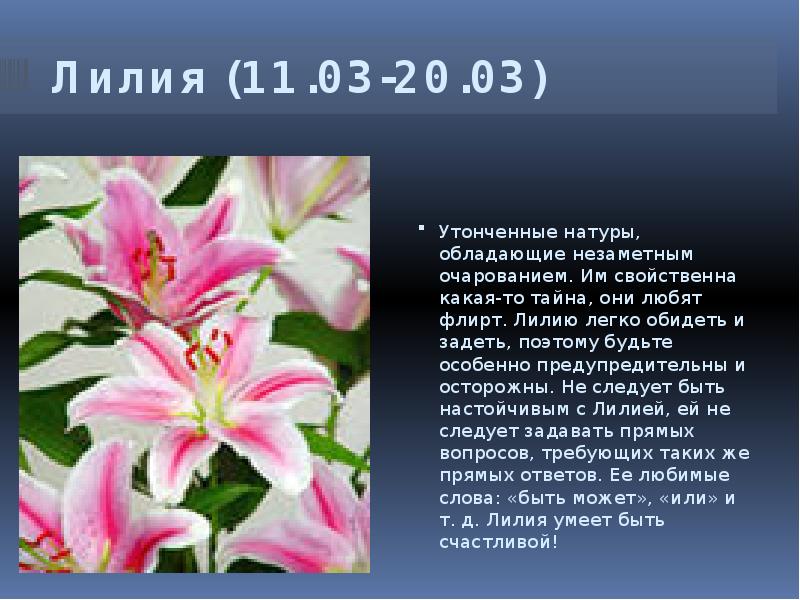 Цветочный Гороскоп На 8 Марта
