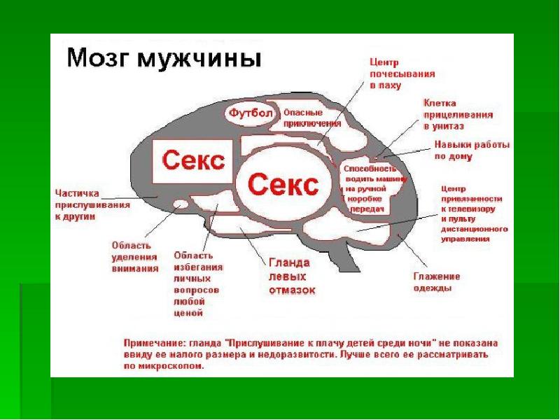 Можно Прожить Без Секса