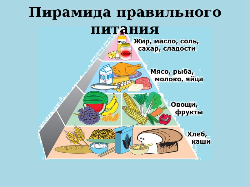 Пирамида Правильного Питания Мясо Рыба Молоко