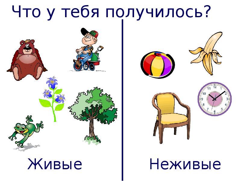 Картинки Неживых Предметов