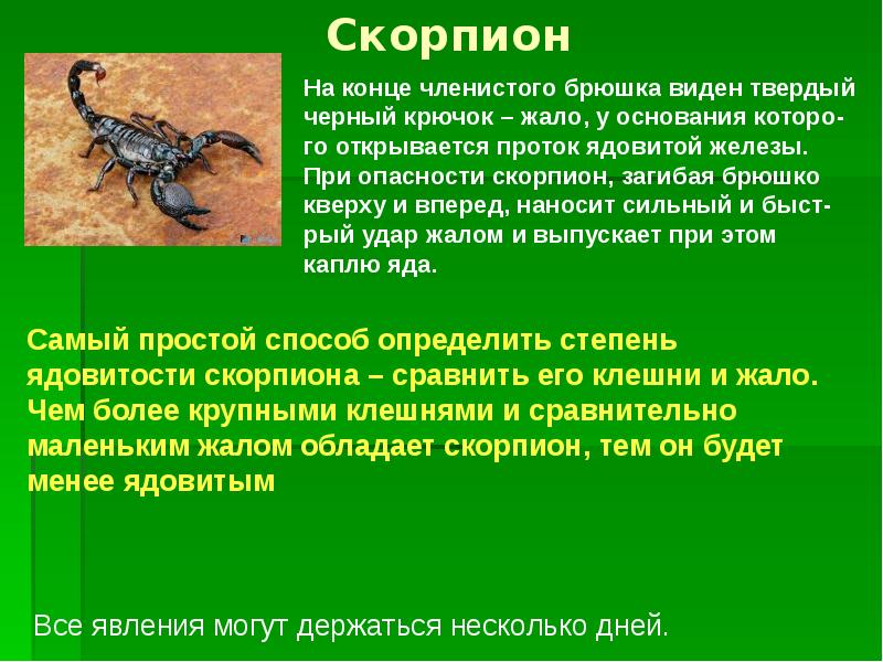 Гороскоп На февраль 2023 Скорпионы