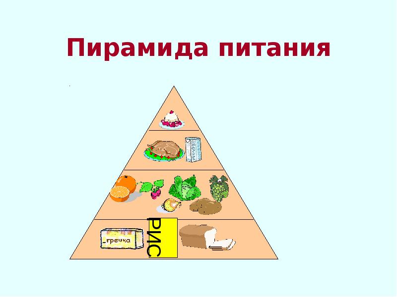Правильное Питание 6 Класс Одноклассники