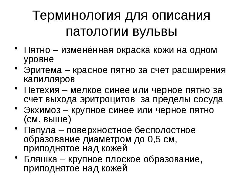 Волосатая вульва женщины