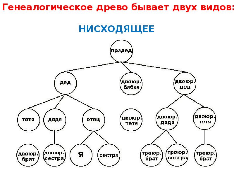 Эротика С Папой И Дедушкой