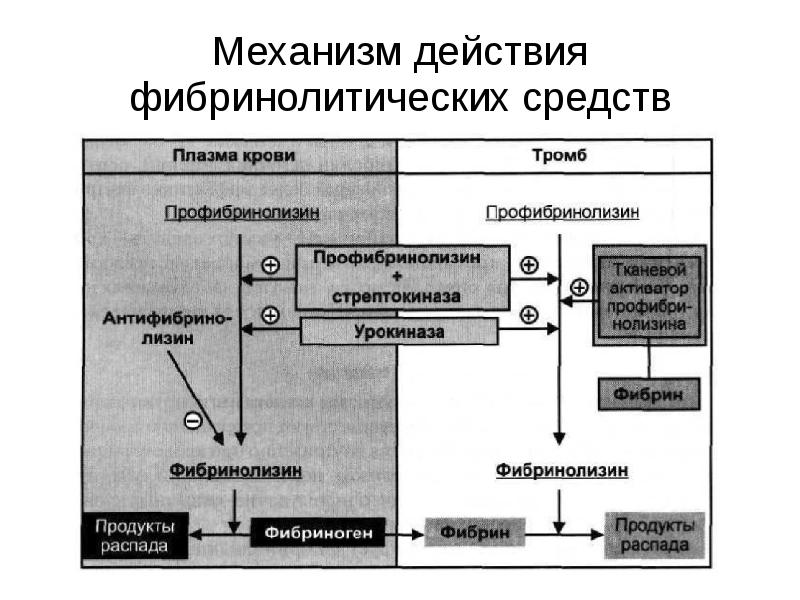 Стрептокиназа Аптека Стрептокиназа Аптека