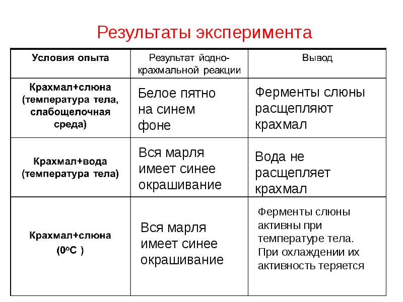 Прежде чем поиметь шалаву в аунс парень смачивает его слюной