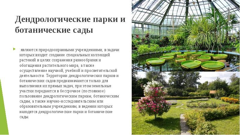 Проститутки Екатеринбург Район Ботанический