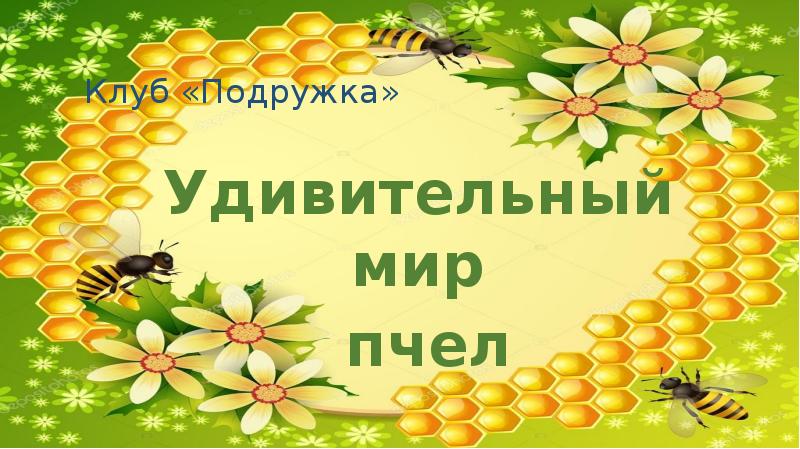 Магазин Мир Пчел Город Витебск