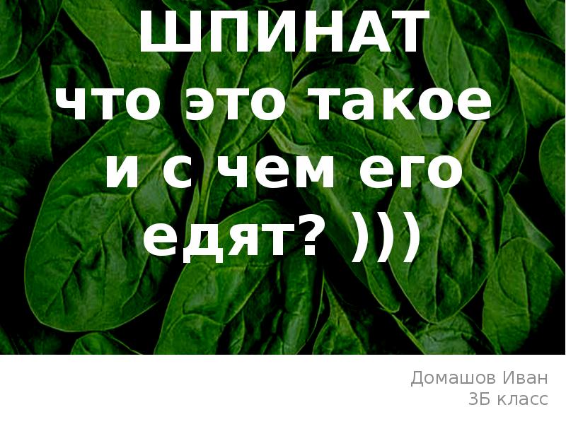 Шпинат Саратов Магазин Сайт Шпинат Саратов Магазин Сайт