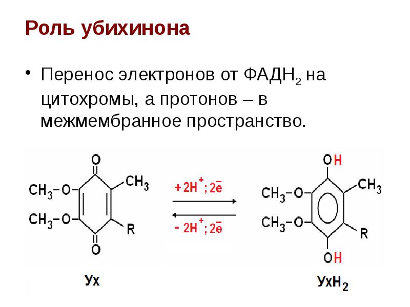 Убихинон Инструкция По Применению Цена