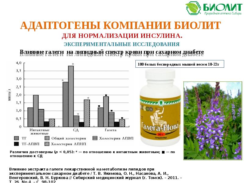 Адаптогены Сахалина И Курильских Островов Интернет Магазин