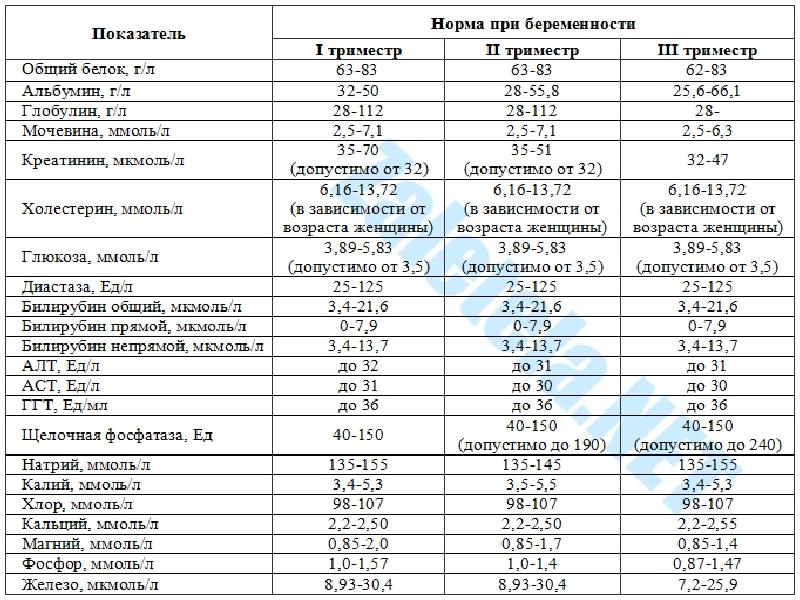 Секс В Первый Триместр Форум