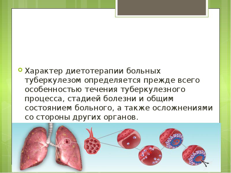 Больным Туберкулезом Назначается Следующий Вариант Диеты