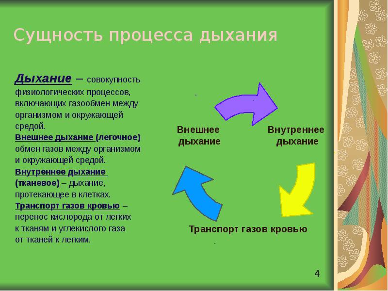 Раскройте суть процессов. Анатомическая сущность процесса дыхания. Сущность и значение процесса дыхания. Анатомическая и физиологическая сущность процесса дыхания. Сущность дыхания заключается в.