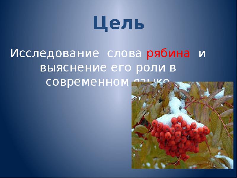 Рябина по составу. Предложение про рябину. Презентация на тему рябина. Этимология слова рябина. Рябина слова.