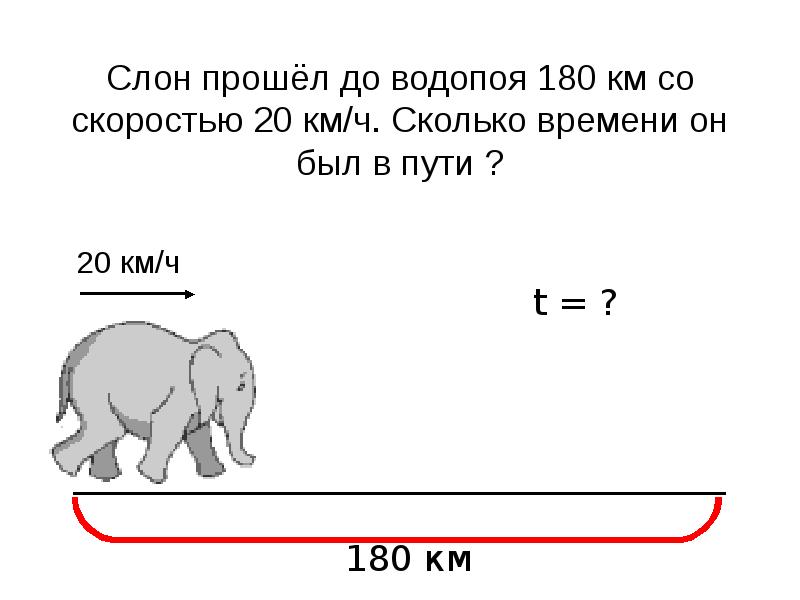 С какой скоростью бегает слон. Скорость слона. Скорость слона км/ч. Какая скорость у слона. Максимальная скорость слона.