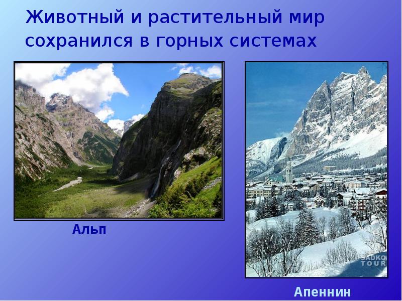 Животный и растительный мир сохранился в горных системах
