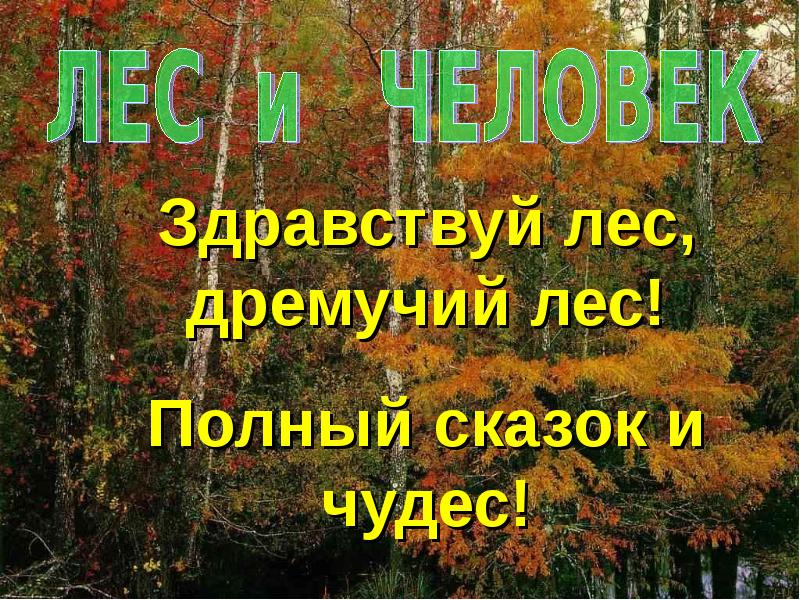 Презентация лес и человек