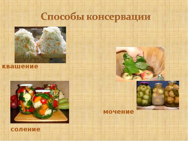 Заготовка продуктов впрок презентация сбо 8 класс