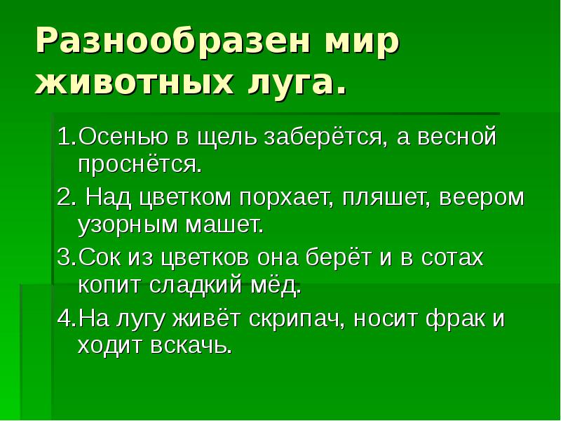 Презентация по окружающему миру 4 класс жизнь луга