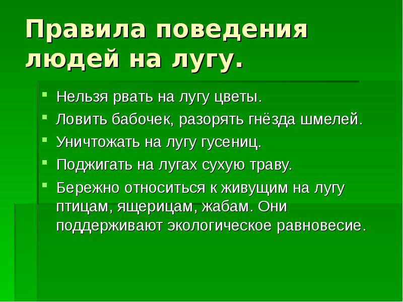 Презентация по окружающему миру луг 4 класс