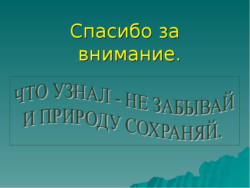 Картинка спасибо за внимание берегите природу