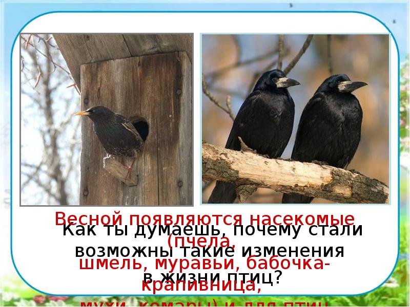 Как ты думаешь, почему стали возможны такие изменения
в жизни Как ты думаешь, почему стали возможны такие изменения
в жизни