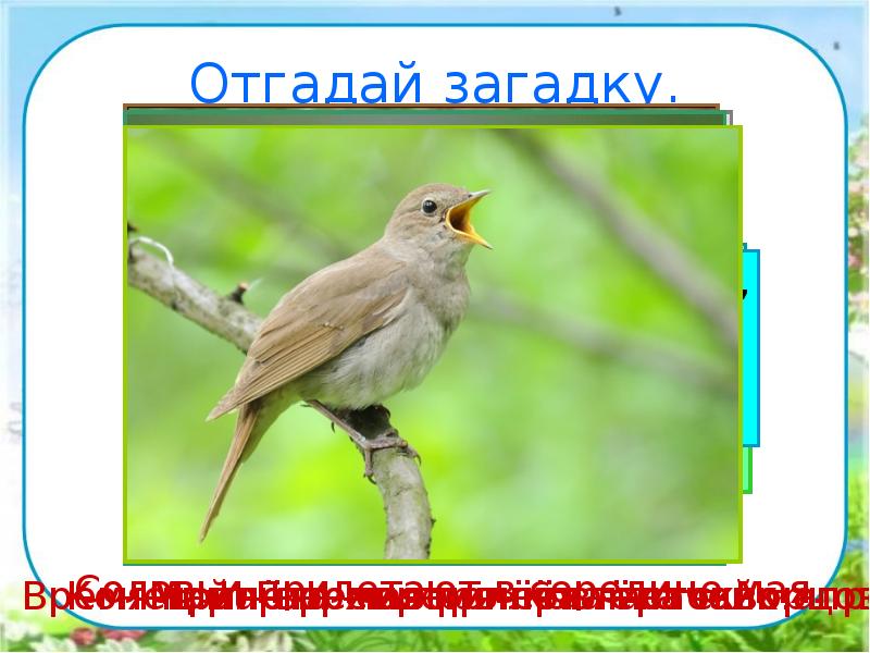Отгадай загадку.
Всех перелетных птиц черней,
Чистит пашню от червей.
Взад-вперёд Отгадай загадку.
Всех перелетных птиц черней,
Чистит пашню от червей.
Взад-вперёд