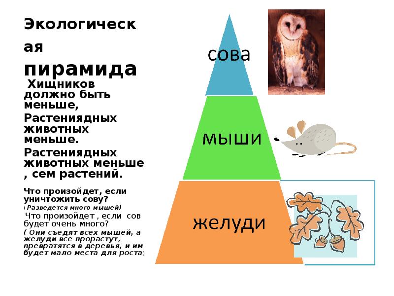 Презентация экологическое равновесие