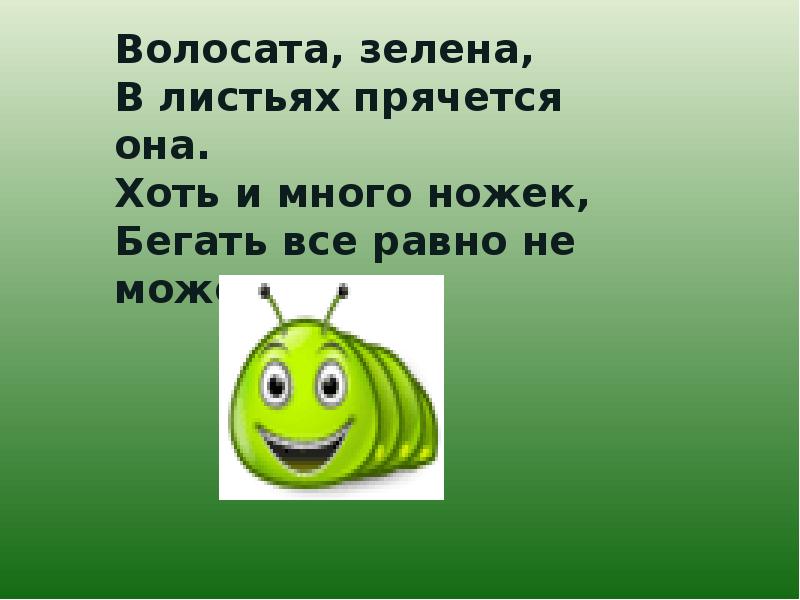Гусеница загадка. Загадка про гусеницу. Стишок про гусеницу для детей. Стишок про гусеницу для малышей. Стихи про гусеничку для малышей.
