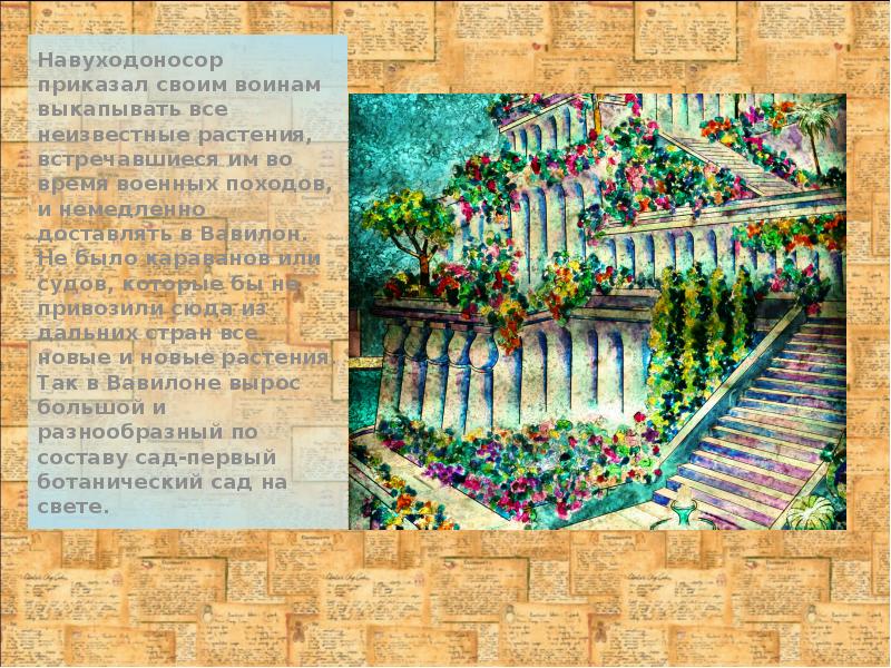 Навуходоносор приказал своим воинам выкапывать все неизвестные растения, встречавшиеся им во Навуходоносор приказал своим воинам выкапывать все неизвестные растения, встречавшиеся им во