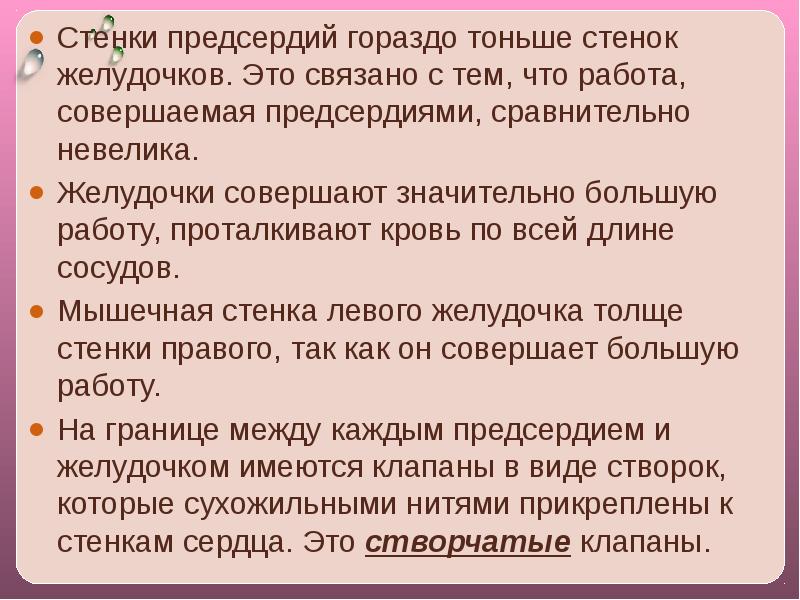 Относительно невелико. Стенки желудков значительно тоньше стенок желудочков. Почему стенка левого желудочка более мощная. Почему стенка левого желудочка более мощная чем правого желудочка. Почему стенки желудочков толще.