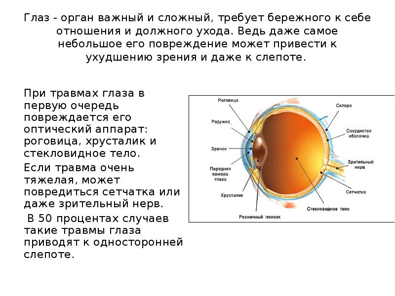 Заболевание и повреждение глаз биология 8 класс презентация