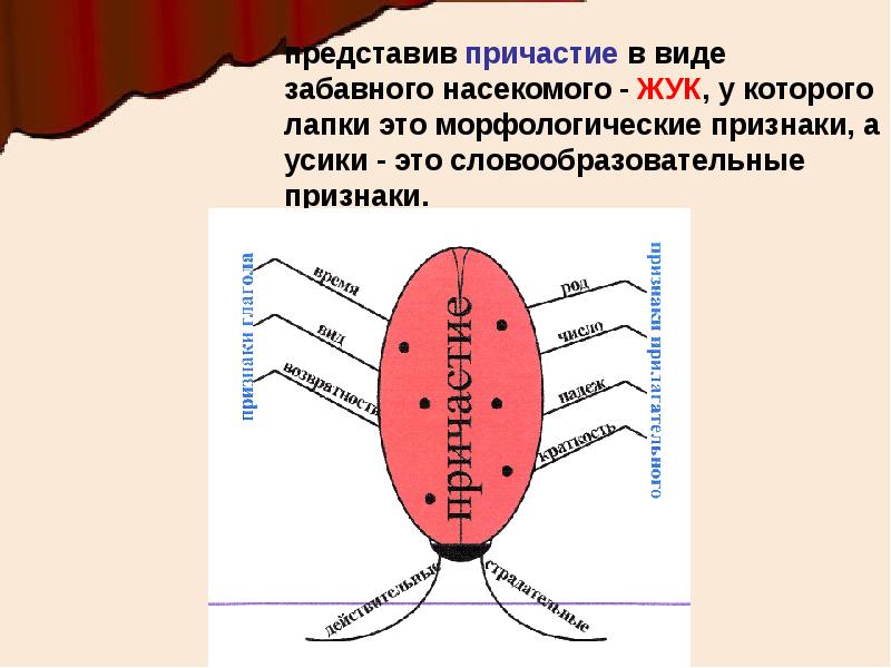 Все о причастии 7 класс презентация