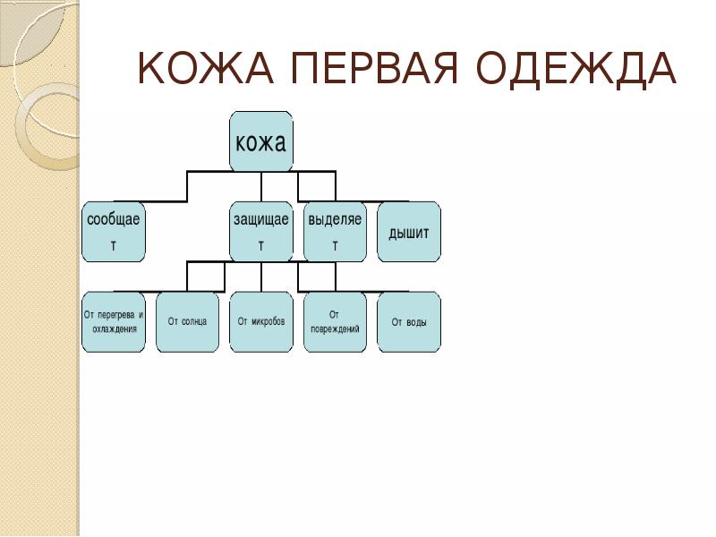 Человек часть живой природы 3 класс презентация