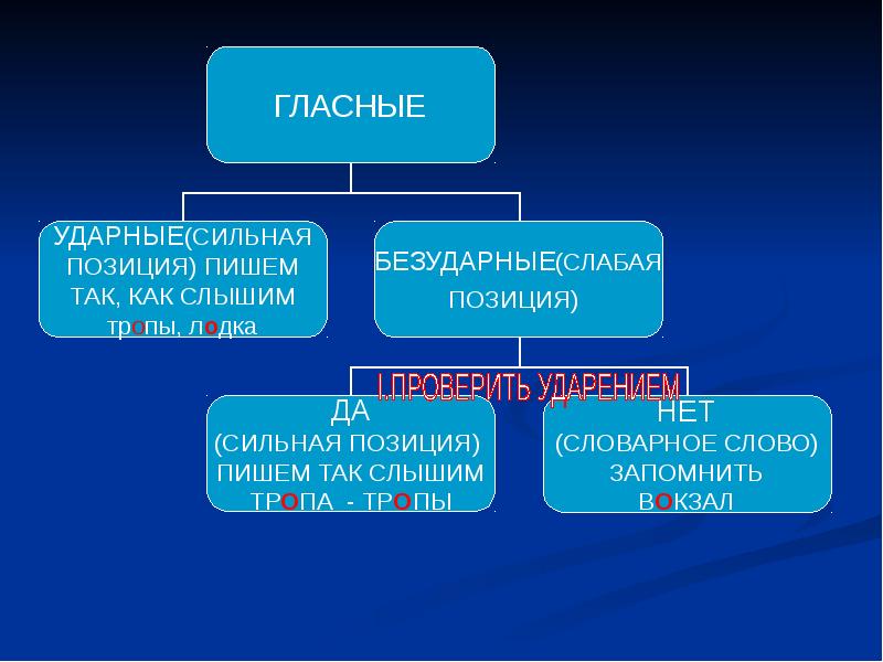 Слабая позиция согласных. Сильные позиции гласных. Сильные и слабые позиции гласных. Гласная в сильной позиции. Слова в сильной позиции.