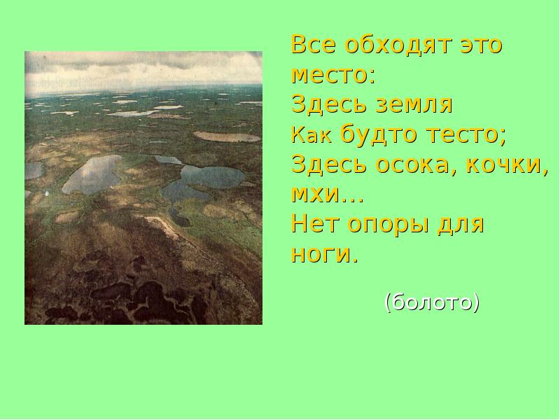 Места нет здесь. Все обходят это место здесь земля как будто тесто. Природное сообщество болото. Земля как будто песня. Здесь, на земле.