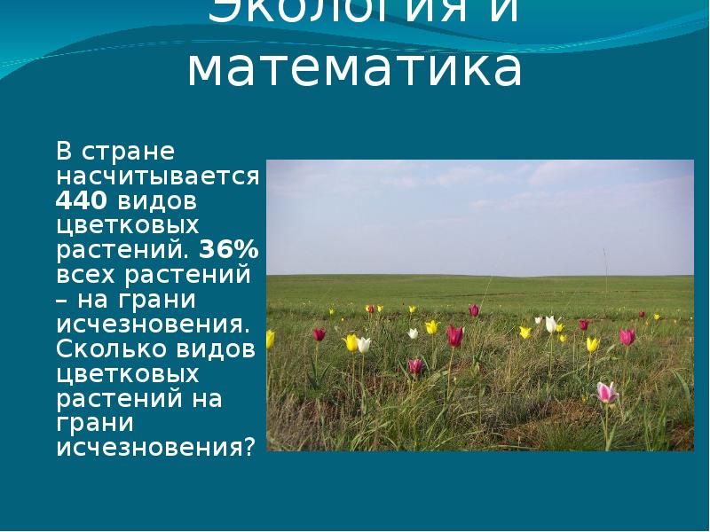 Количество растений. Сколько видов цветковых. Сколько насчитывается видов растений. Сколько видов цветковых растений. Сколько всего видов цветковых растений.