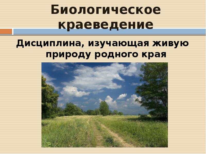 Презентация по краеведению