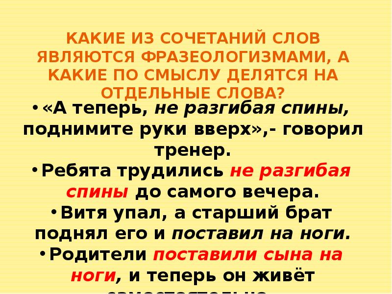 Составить план витькина гайка