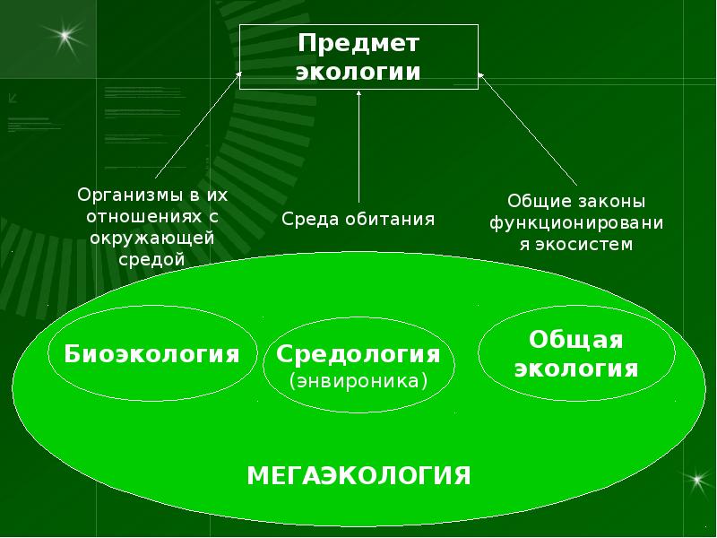 Итоговая конференция взаимосвязи организмов и окружающей среды 9 класс презентация